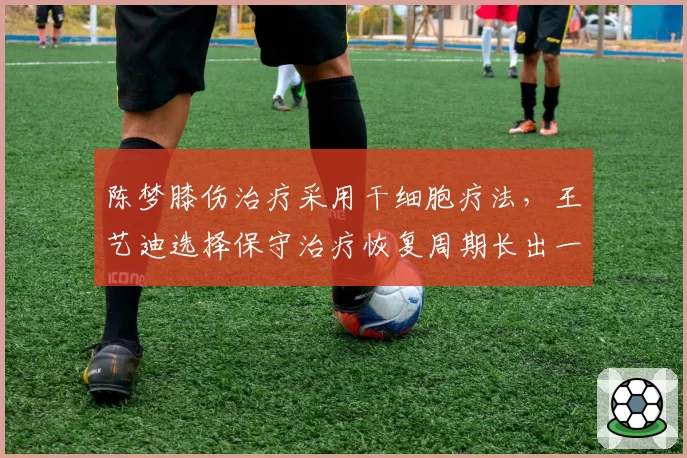 陈梦膝伤治疗采用干细胞疗法,王艺迪选择保守治疗恢复周期长出一倍