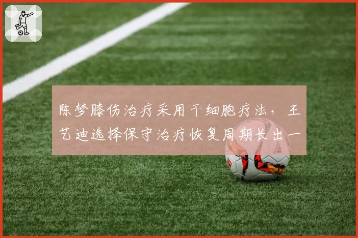 陈梦膝伤治疗采用干细胞疗法,王艺迪选择保守治疗恢复周期长出一倍