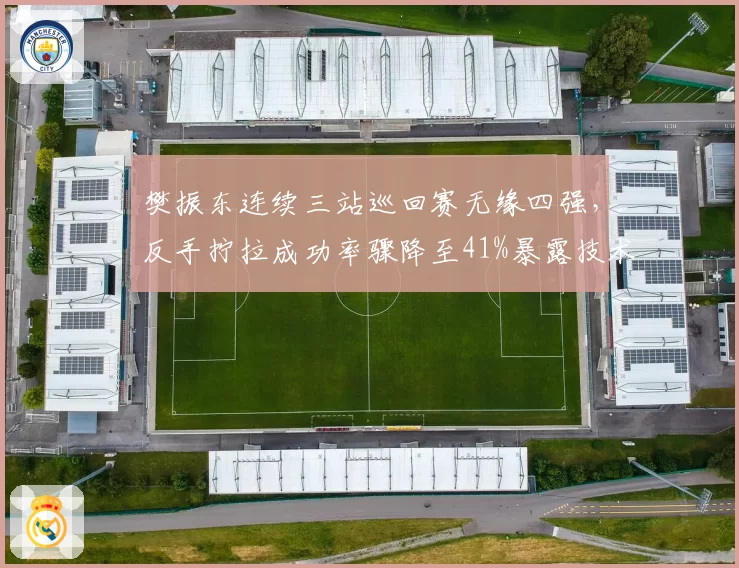 樊振东连续三站巡回赛无缘四强，反手拧拉成功率骤降至41%暴露技术瓶颈